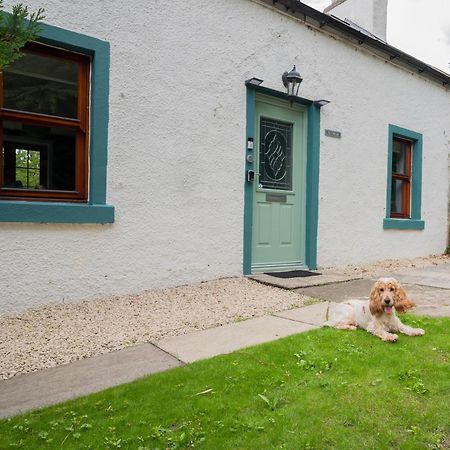 Tig Cottage - A Rural, Quirky, Pet Friendly 2 Bedroom Cottage Near Ballantrae Ngoại thất bức ảnh