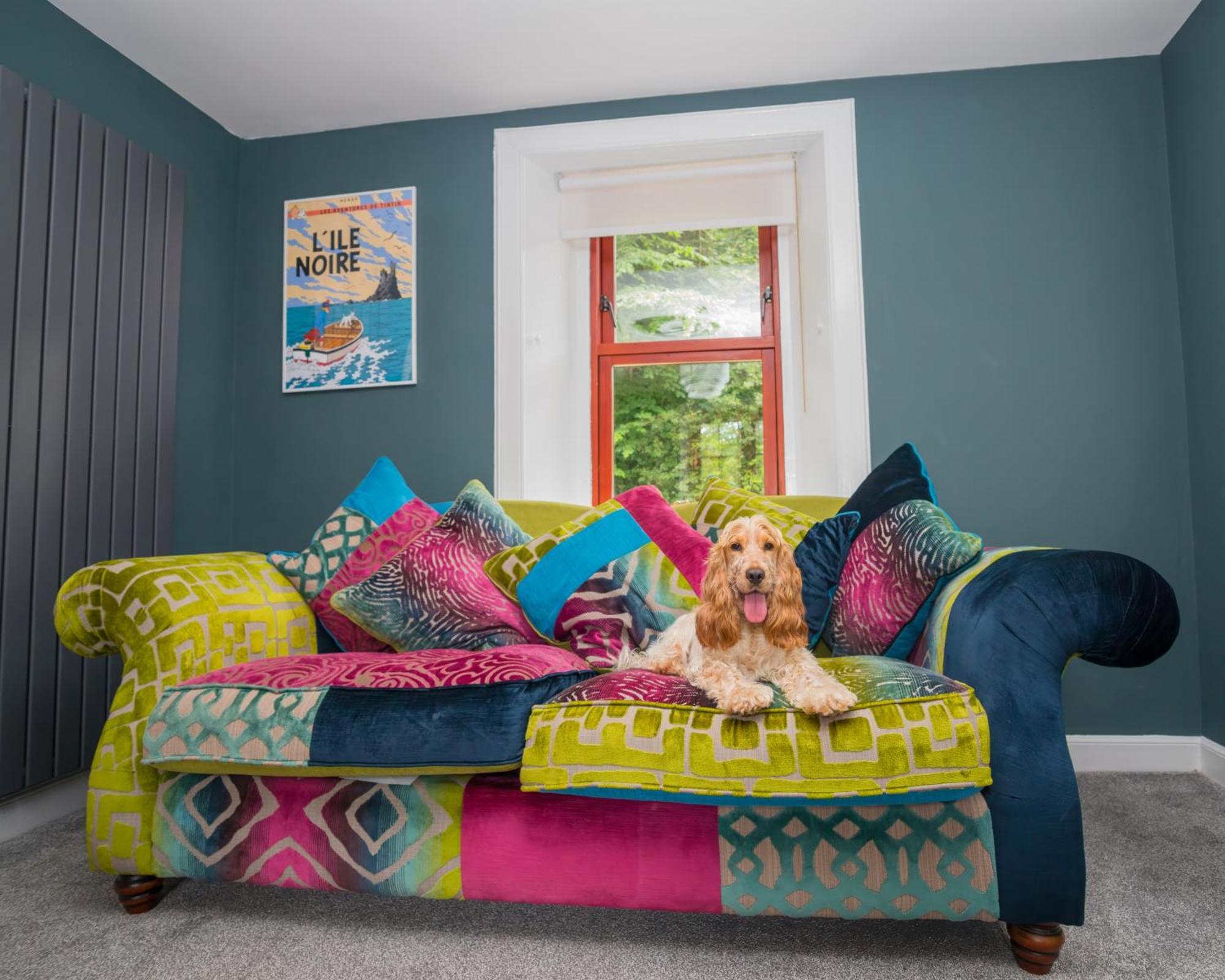 Tig Cottage - A Rural, Quirky, Pet Friendly 2 Bedroom Cottage Near Ballantrae Ngoại thất bức ảnh