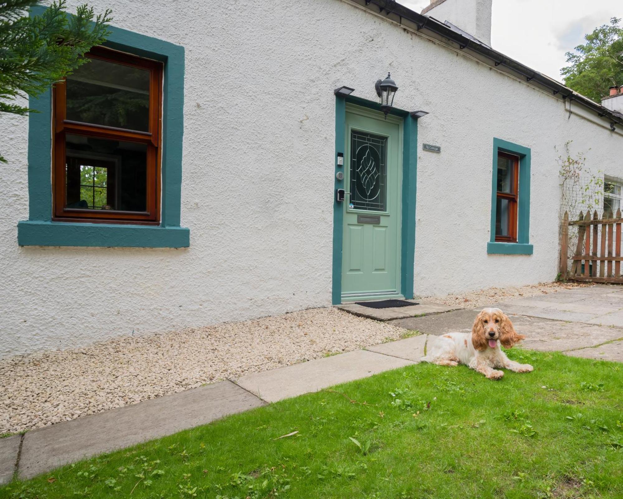 Tig Cottage - A Rural, Quirky, Pet Friendly 2 Bedroom Cottage Near Ballantrae Ngoại thất bức ảnh